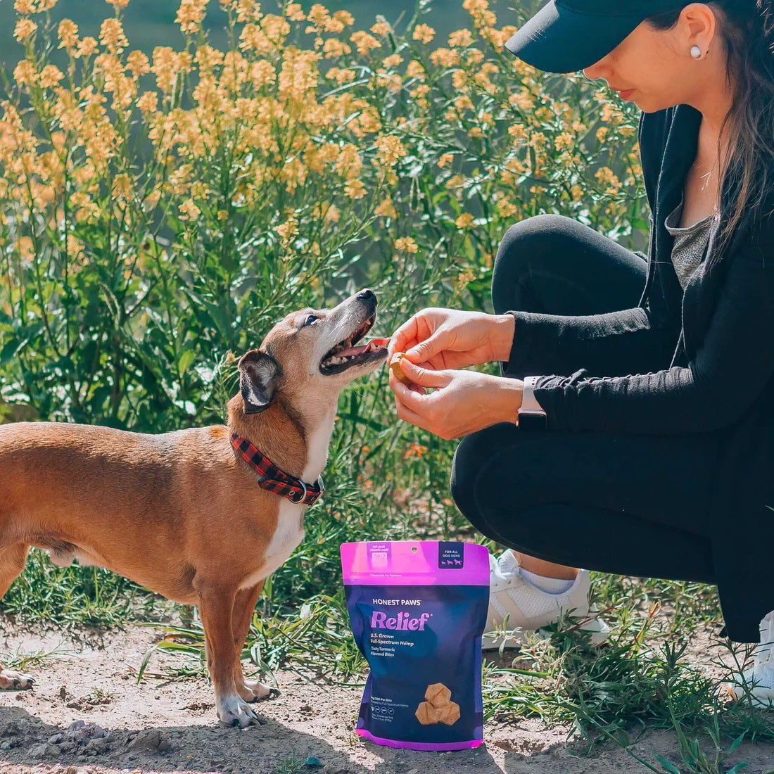 Relief CBD Bites