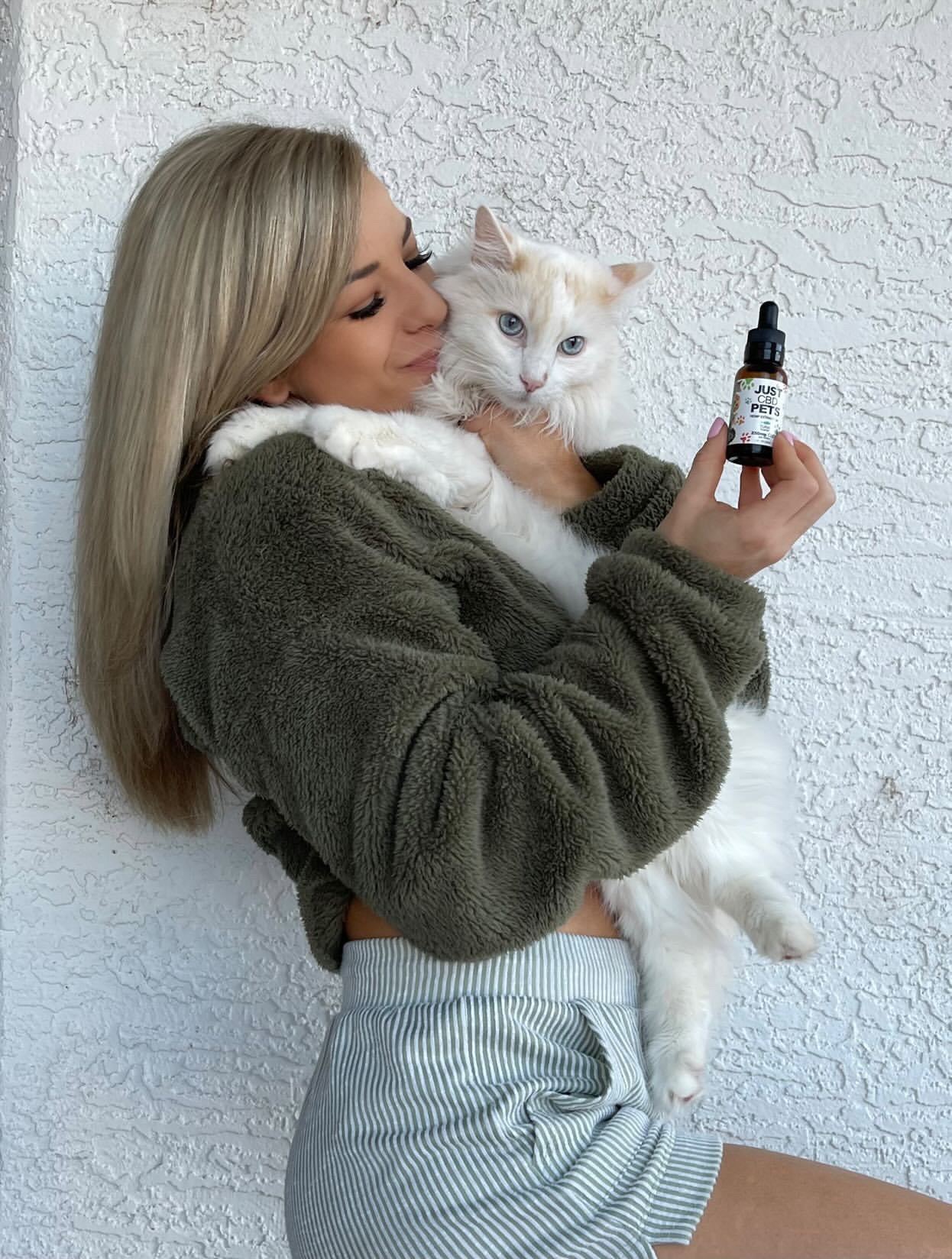 CBD Oil For Cats & Dogs (100mg) hemp extract cat pic.