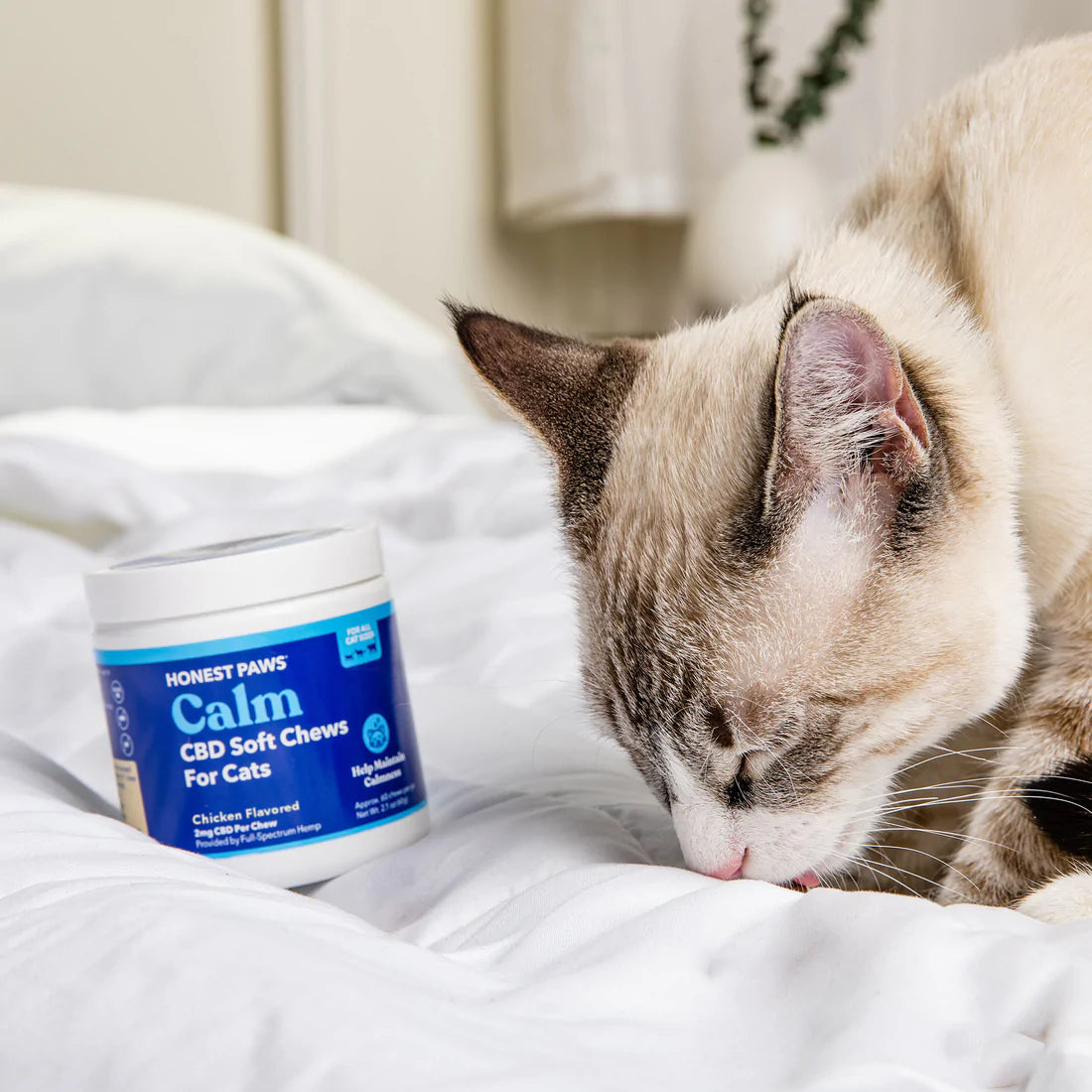 Calm CBD soft chews for Cats chicken flavor cats love.