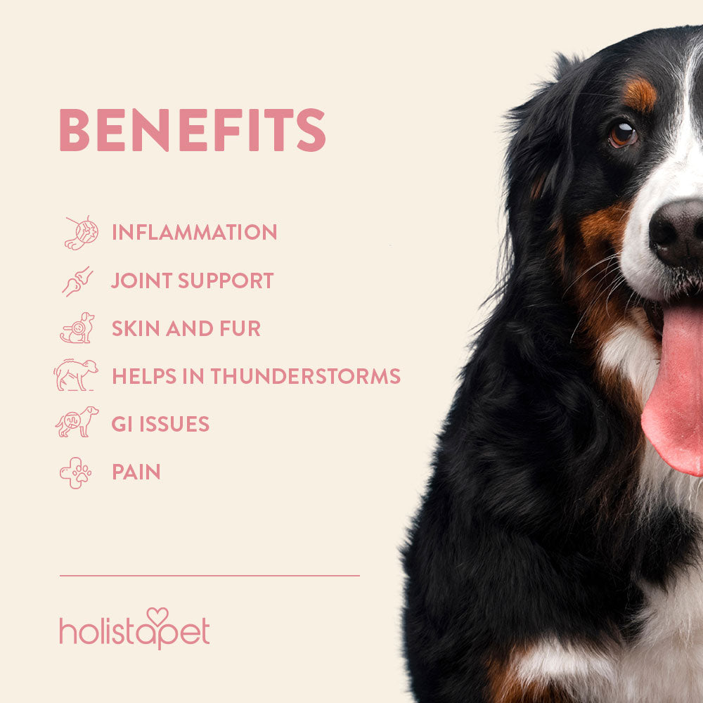 CBD capsules for dogs & Cats benefits list.