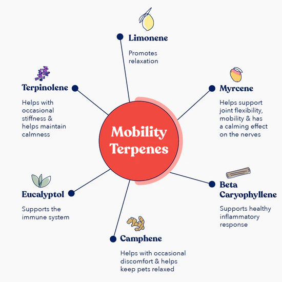 CBD Oil for Dogs - Mobility ingredient chart.