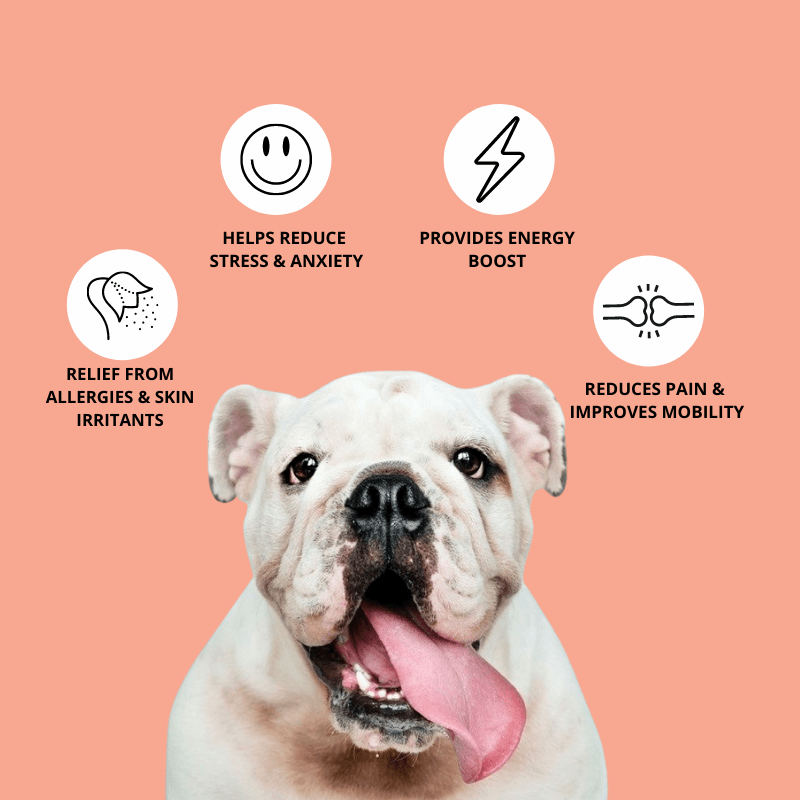 CBD Infused Peanut Butter benefits pic.