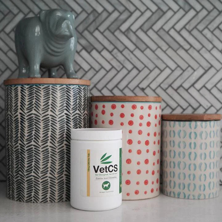CBD Joint Chewables for dogs container size on counter reference.