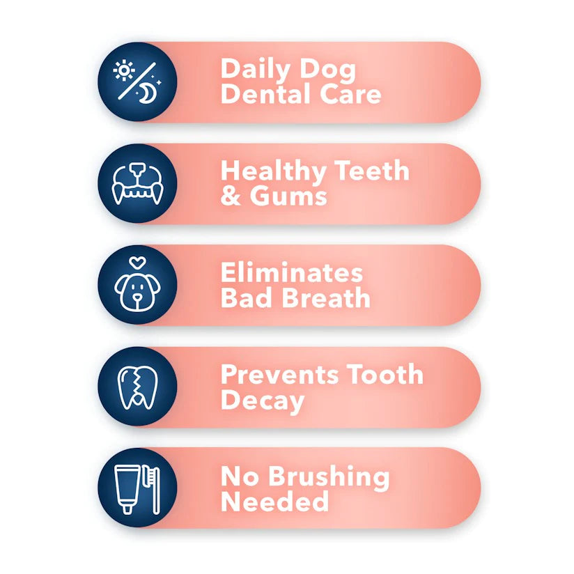 Advanced Oral Care benefits chart.